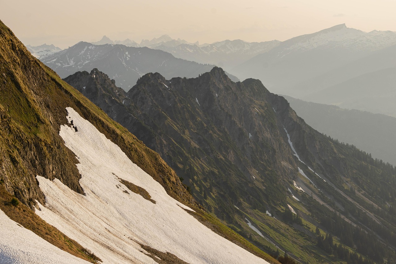 在线DDOS压力测试网页端|德阳金宫川派味业代理平台