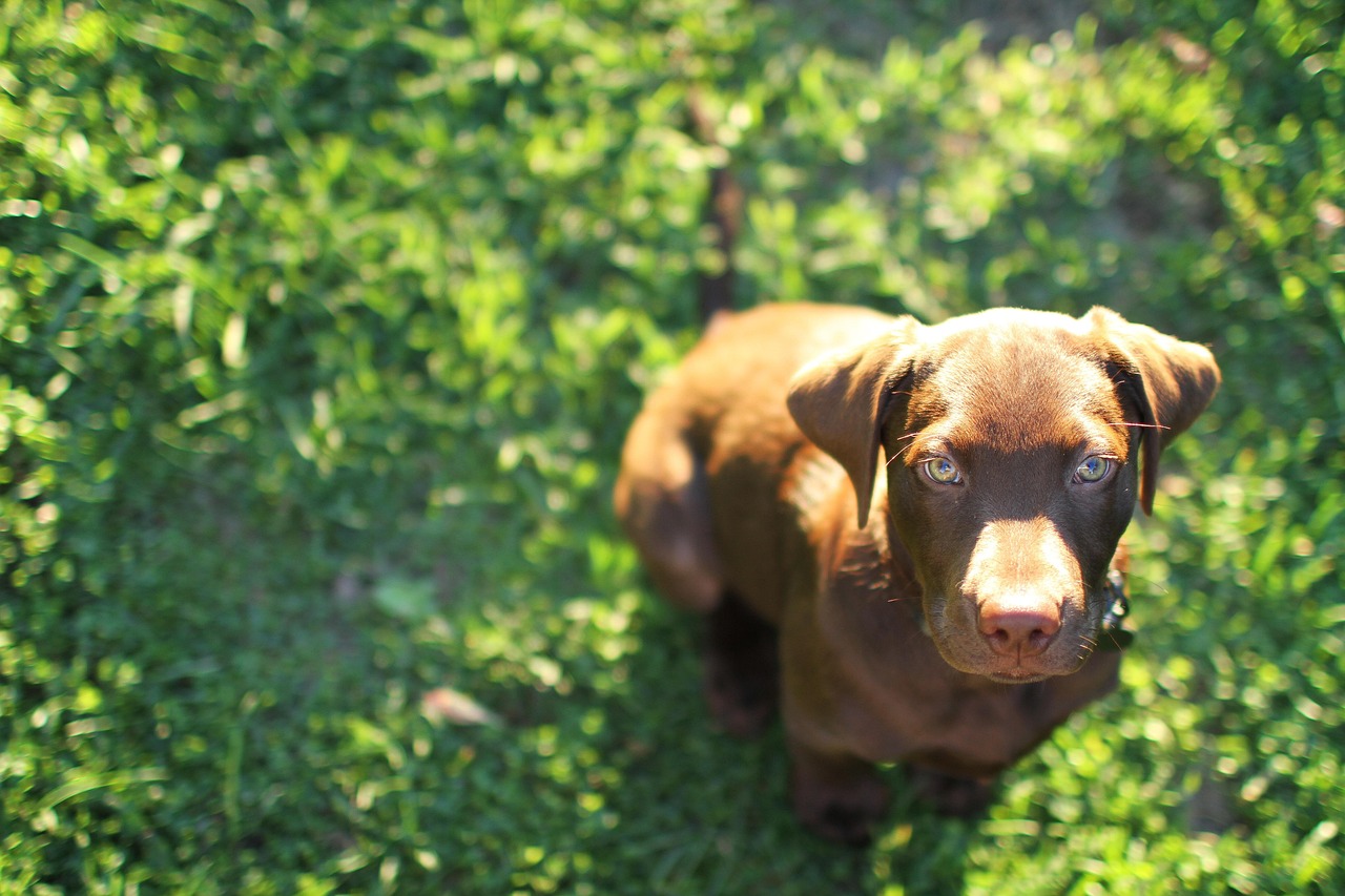 银龄卡实名账号：币行app详情下载教程