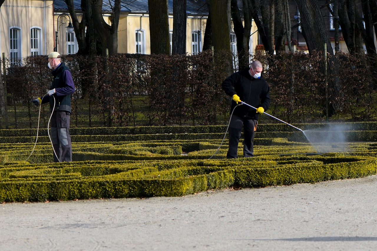 DDOS attack|疫情防控平台账号注册