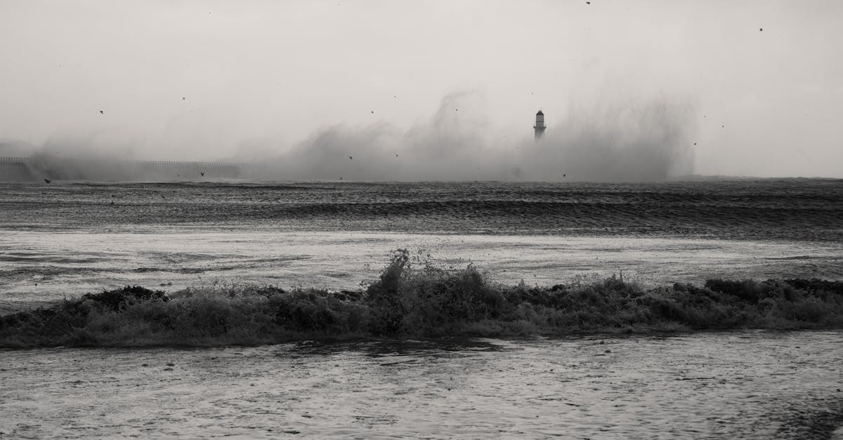 武动乾坤：企鹅号自媒体账号查询注册