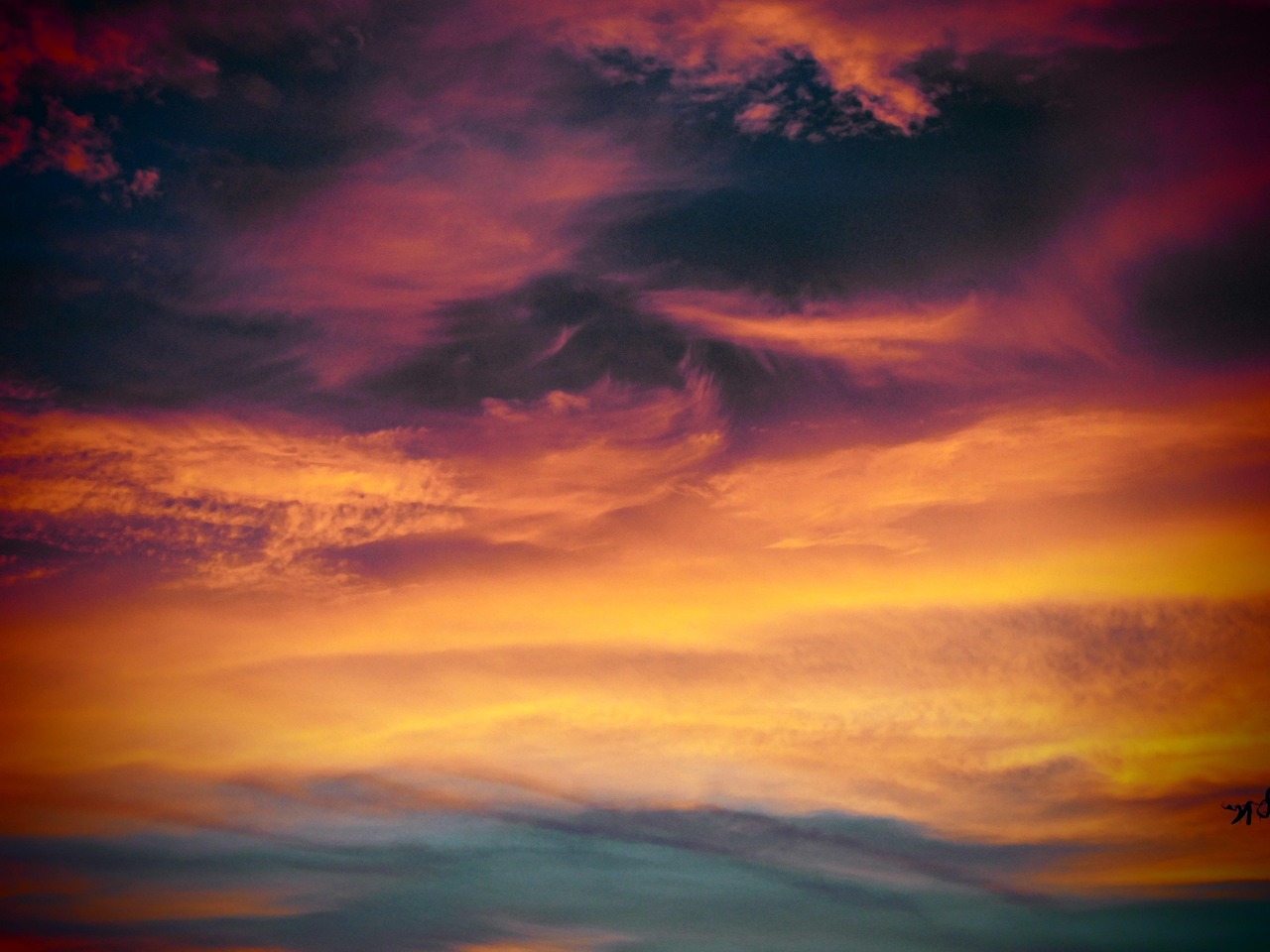 剑舞龙城：男士表购买平台