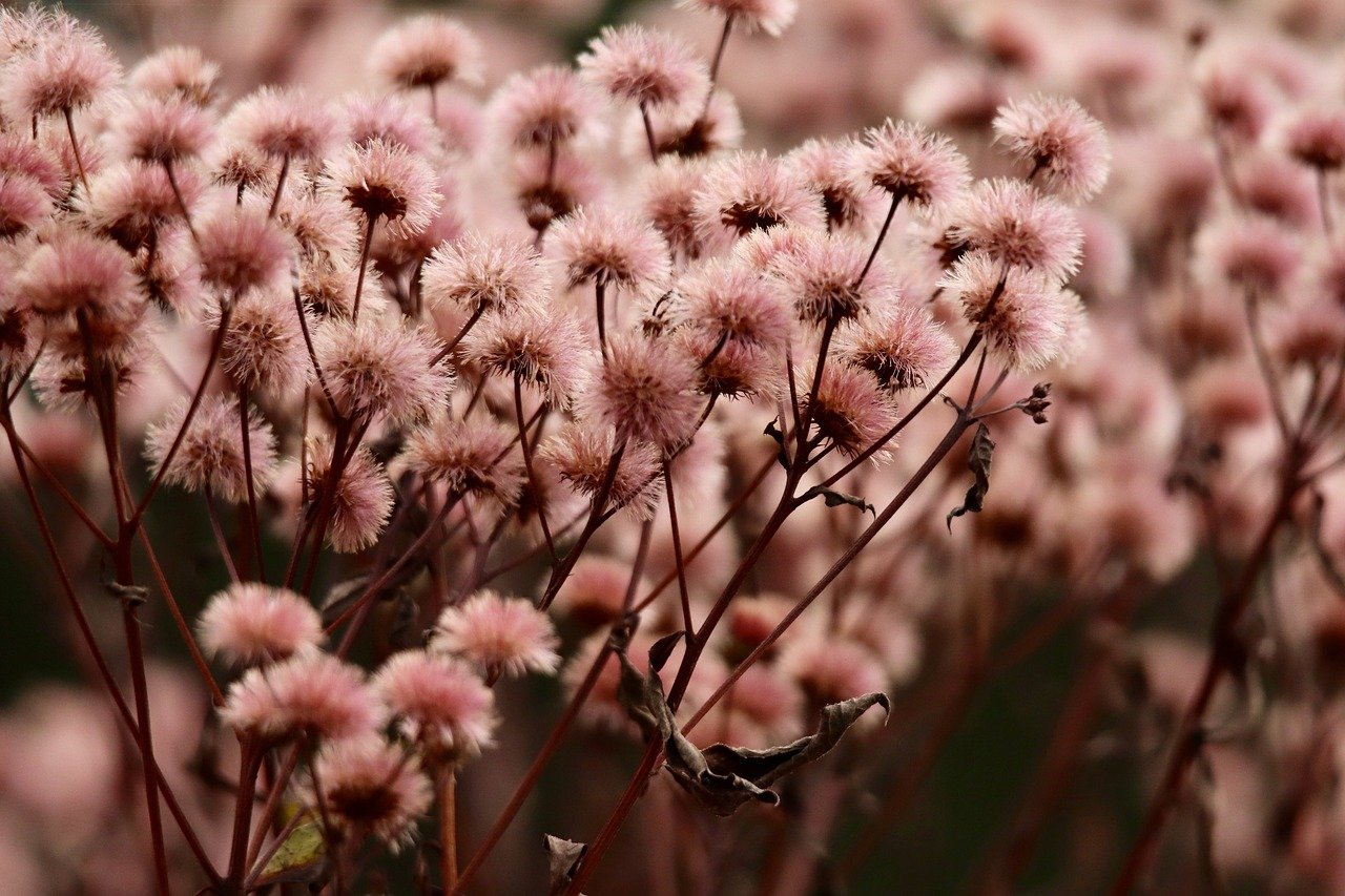 赢咖6利用广告投放和推广完成压倒性的品牌效验。