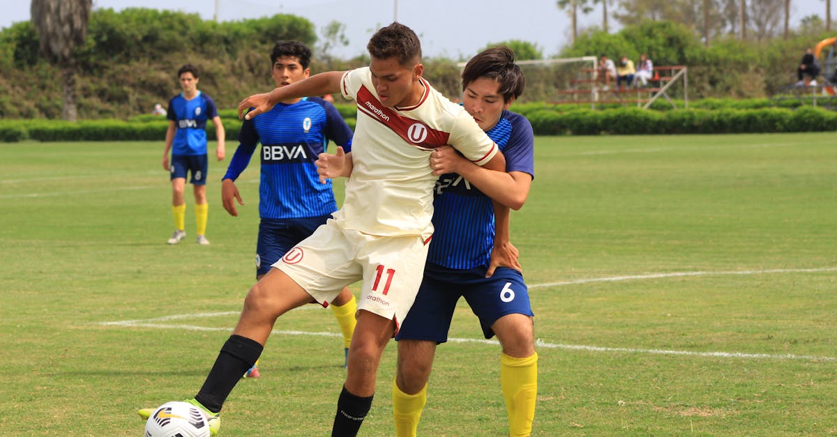 玩家避免被技术支持辅助侵害的常见做法 